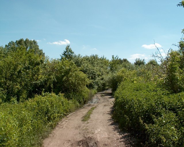 ul. Jaśminowa, 2010