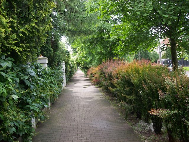 Malczewskiego, 2013