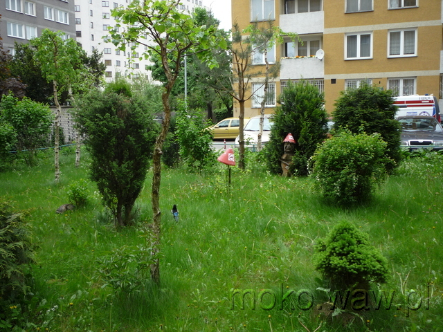 Okęcka, 2015 Okęcka, 2015