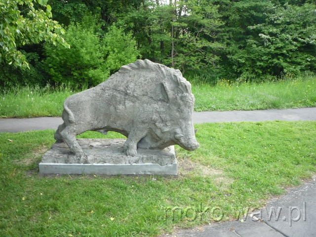 Królikarnia, 2015 Królikarnia, 2015