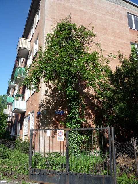 Kraushara, 2015