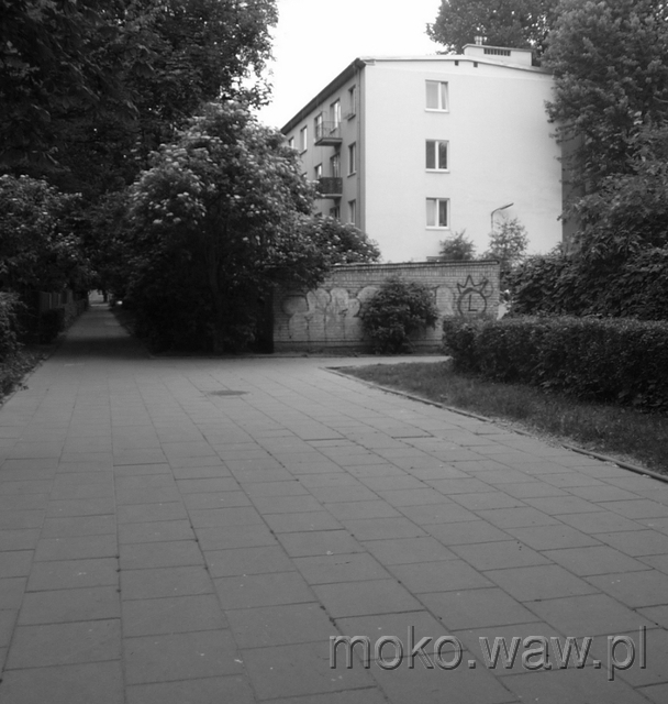 Dąbrowskiego, 2015