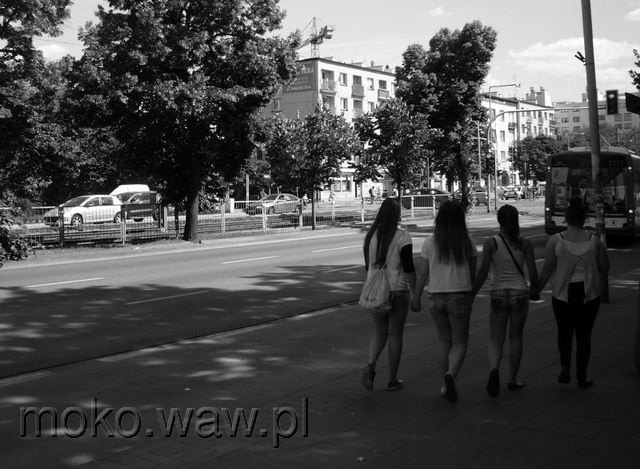 Puławska przed Parkiem Dreszera, 2015 Puławska przed Parkiem Dreszera, 2015