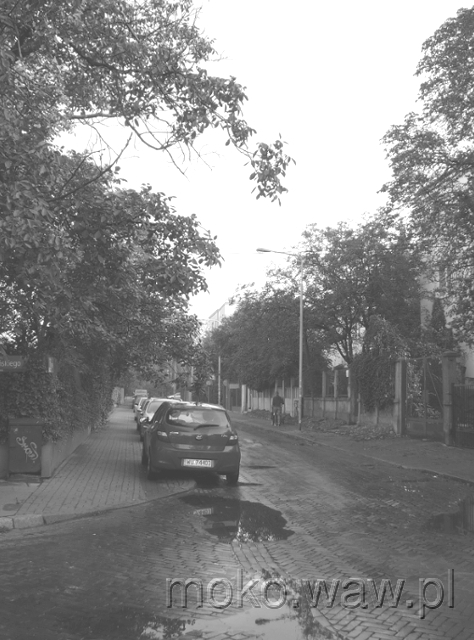 Tyniecka, 2015 Tyniecka, 2015