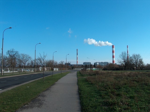 Gołkowska, 2015 Gołkowska, 2015