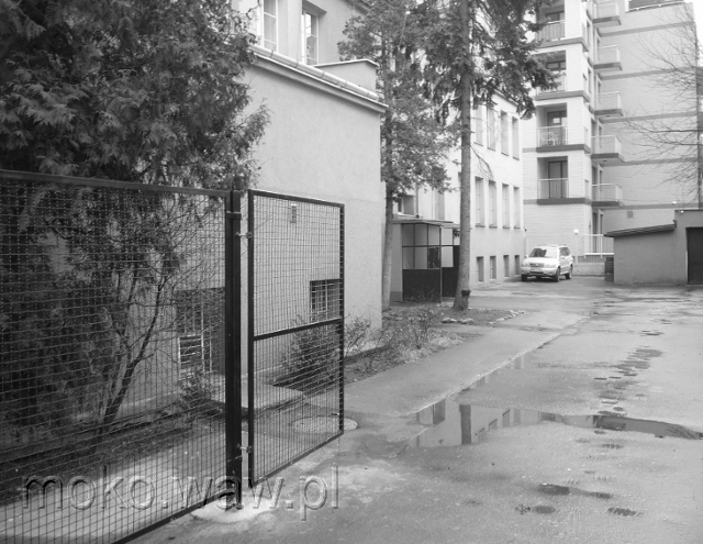 Dolna 19, 2016