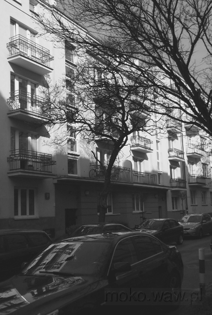 Asfaltowa, 2016