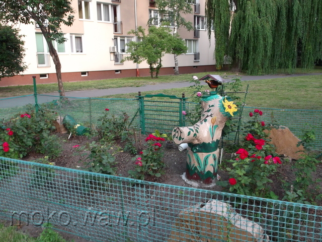 Śniardwy, 2016
