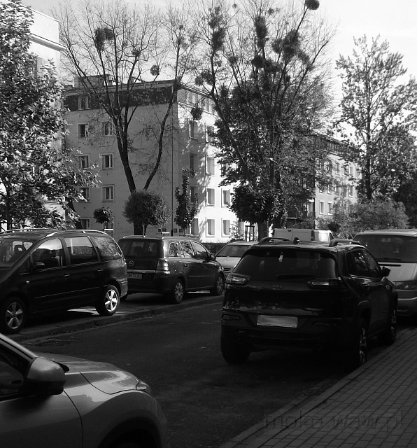 Wiśniowa, 2016