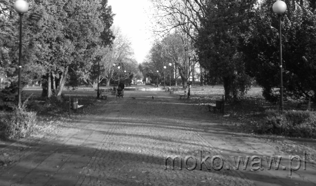 Park Dreszera, 2016 Park Dreszera, 2016