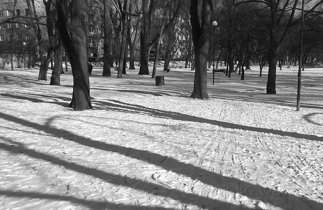 Park Promenada, 2017