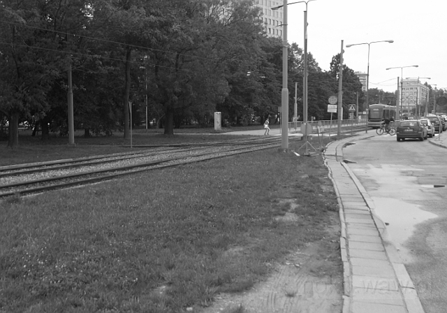 Pętla Służew 2017