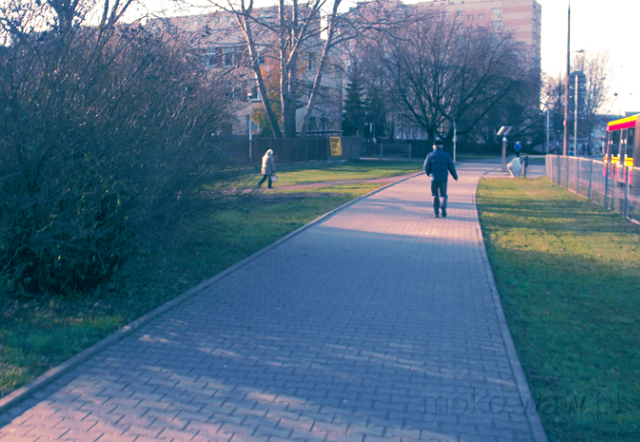 Św. Bonifacego, 2017