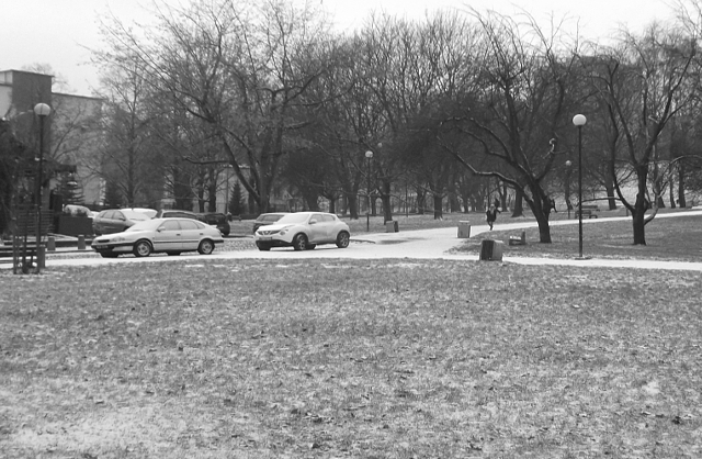 Park Morskie Oko, 2017