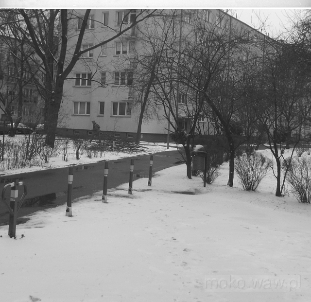 Zima na Stępińskiej, 2018