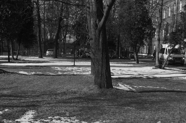 Wiśniowa 56, 2018