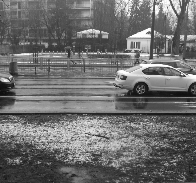 Św. Boboli, 2018 Św. Boboli, 2018