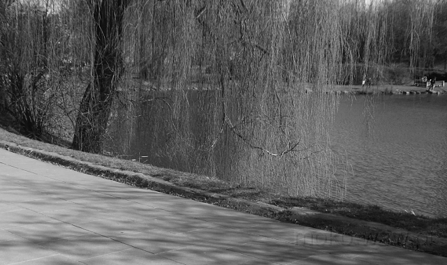 Park Morskie Oko, 2018