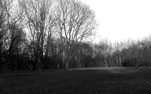 Al. Giżyckiego, Park Arkadia, 2018 Al. Giżyckiego, Park Arkadia, 2018