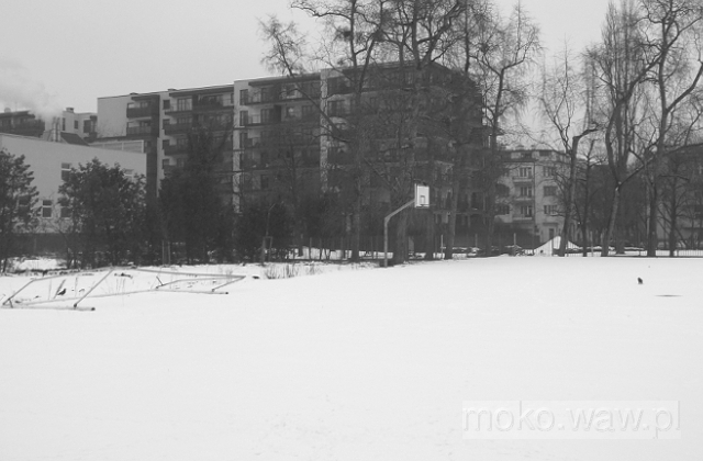 Różana, 2019