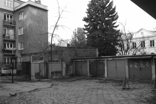 Wiśniowa, 2019