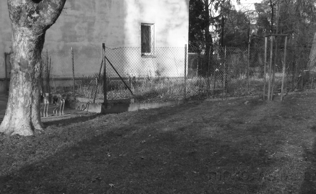 Dąbrowskiego, 2020 Dąbrowskiego, 2020