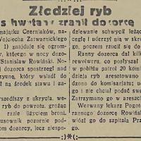 Złodziej ryb, 1934