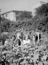 Belwederska, ok. 1942