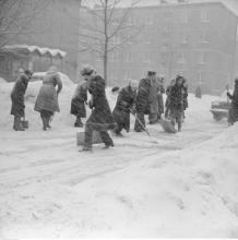 Joliot-Curie, zima 1979