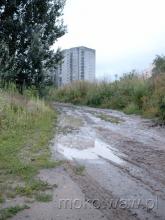 Św. Bonifacego, 2004