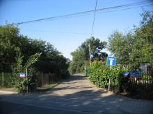 Koszykarska, 2005
