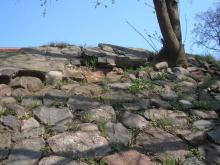 Dolna, napis 1935, 2008