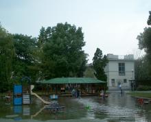 Ogród Jordanowski Odyńca, 2010