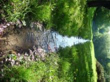 Park Morskie Oko, 2015