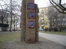 Skwer Broniewskiego-Orszy, 2016