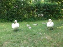 Fort Piłsudskiego, 2016