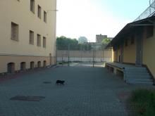 Rakowiecka, 2017 Rakowiecka, 2017