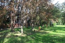 ulica Pływacka, 2017