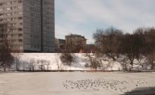Park Morskie Oko, 2018