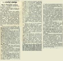 Pożar w Królikarni, 1879