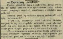 Zapalczywy pokątniak, 1904