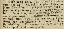Pies wściekły, 1913