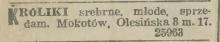 Króliki srebrne sprzedam, 1916