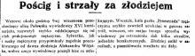 Pościg w zaroślach, 1925