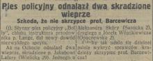 Wieprze wytropione, 1927