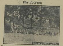 Półkolonie w Parku Giżyckiego. 1928