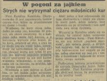 W pogoni za jajkiem, 1931