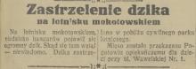 Zastrzelenie dzika, 1933