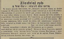 Złodziej ryb, 1934