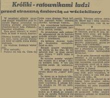 Króliki ratownikami ludzi, 1936